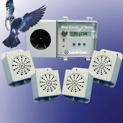 1115398194747 10385037 1115398194747 10385037