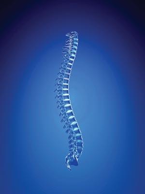 1142019748110 10383793