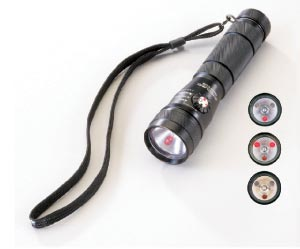 1150113928548 10382743