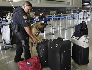 1155306572221 10397812