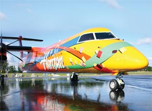 1178200455017 10379395