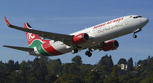 1178545992827 10389828