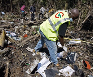 1178631735666 10389062