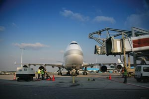 1271697774354 10370824