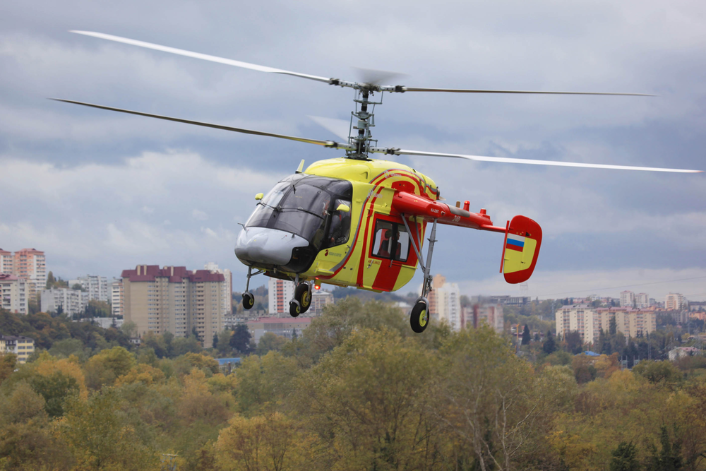 Rheli 10454661