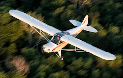 Legend Cub Legend Cub