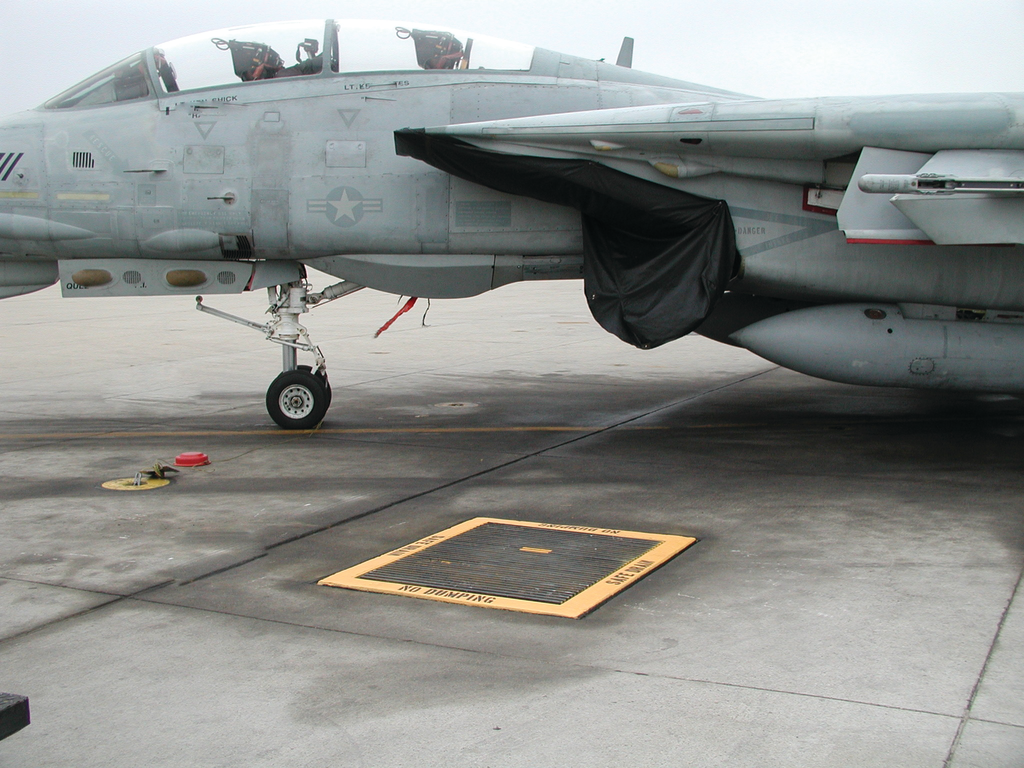 Copy Of P6240080 11459330