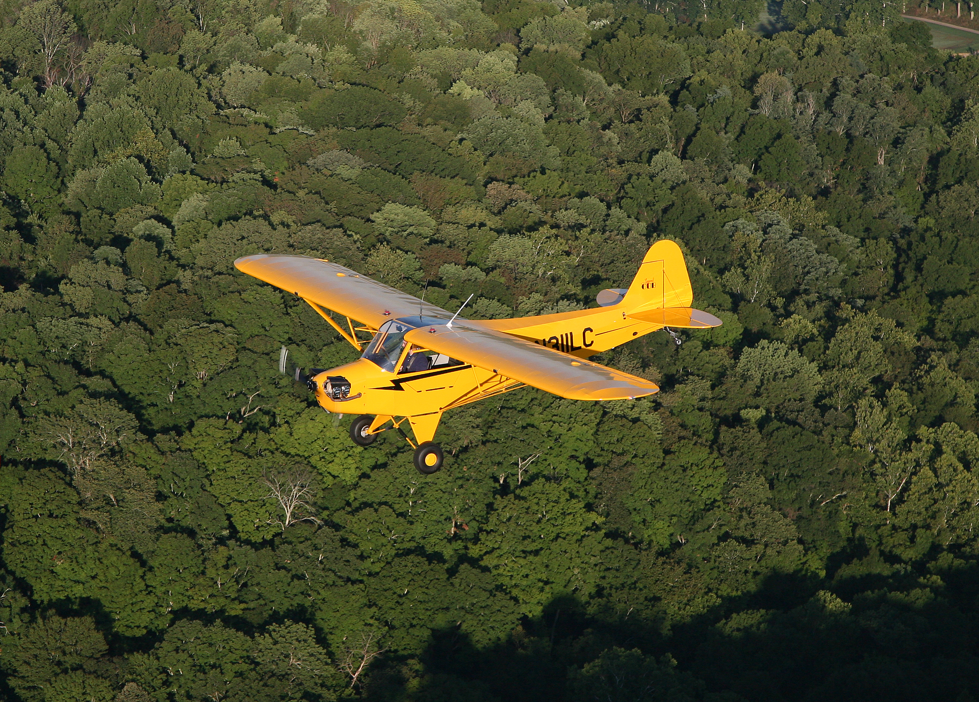 Img 8578 55954dc21d84b