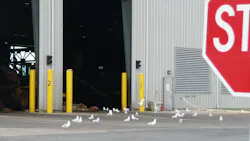 Photo 2 56043cd4d79ee Photo 2 56043cd4d79ee