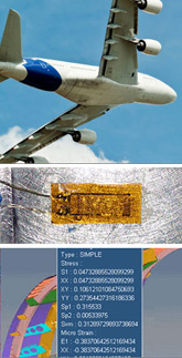 Altair's Virtual Gauge Director