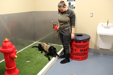 Each of the indoor SARA&rsquo;s features a 100 sq. ft. wheelchair accessible space that includes a low profile tub covered with artificial turf and a decorative fire hydrant.