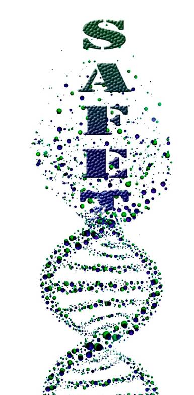 Safety Dna 5898d6cdb106b