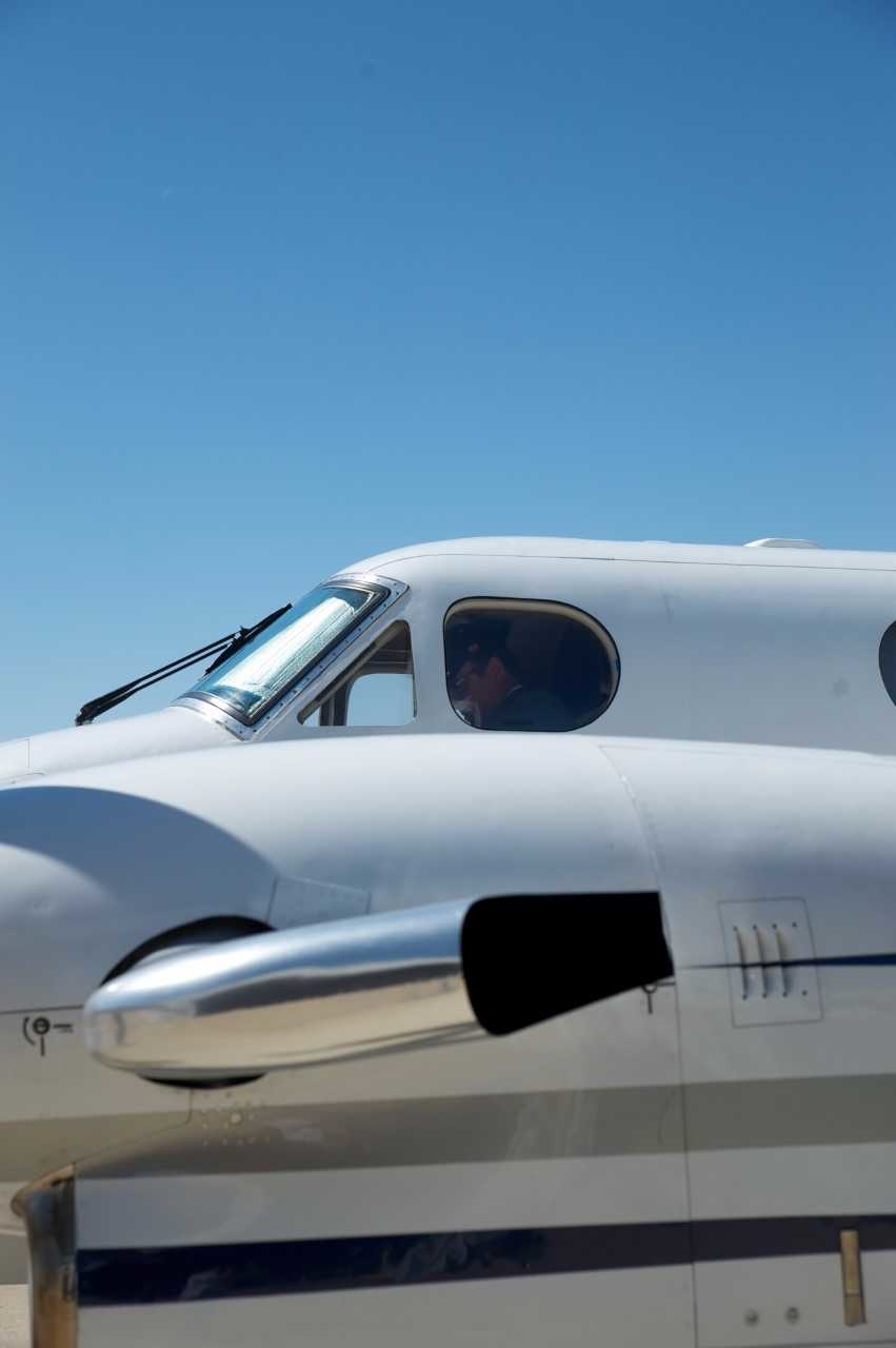 Cat Ege 59db95e0d11ba