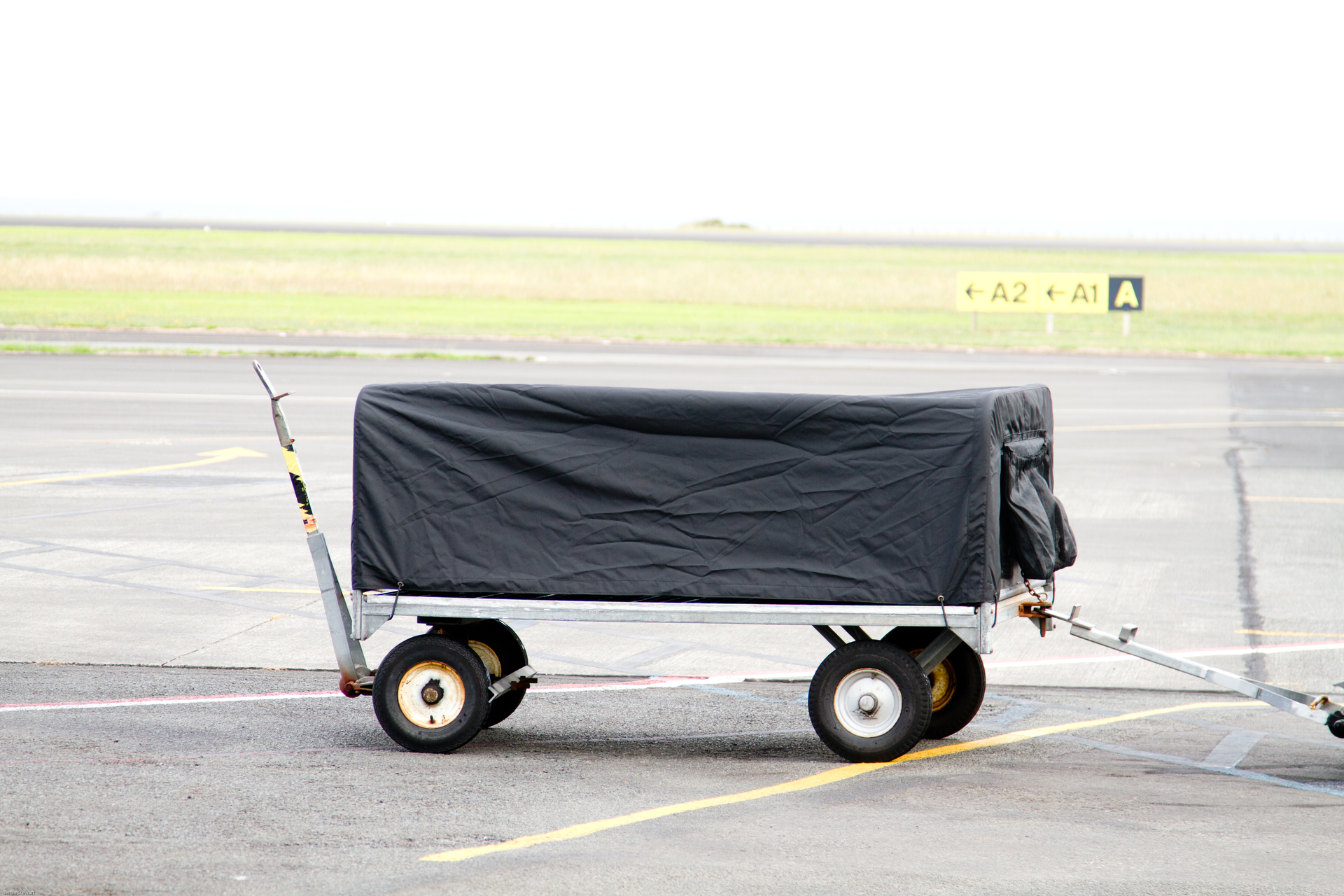 IMG 3110 5b85a1b83a8e8