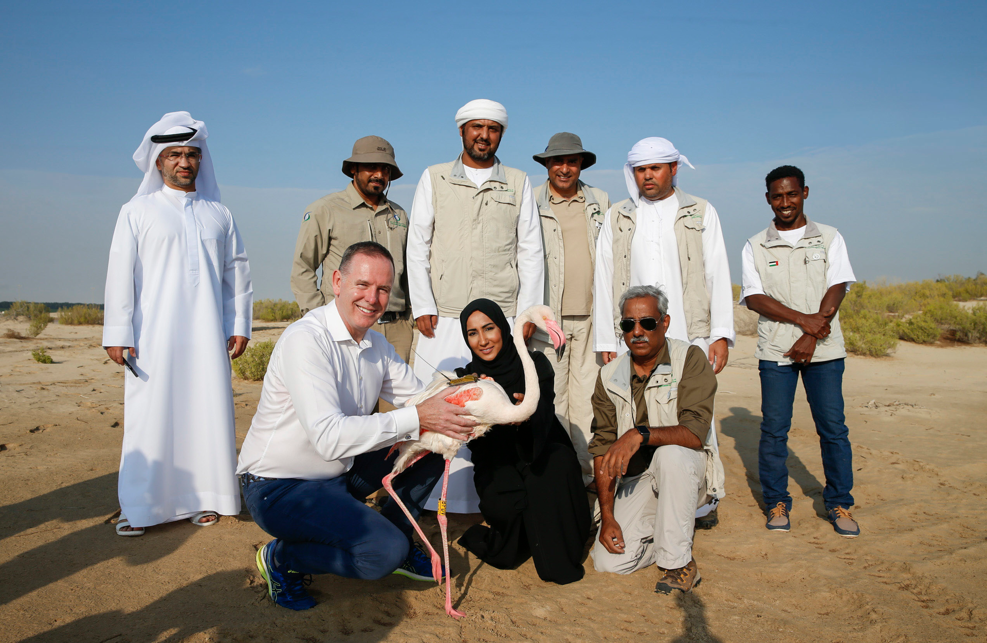 Etihad Airways Image 2 5bec30ed8238e