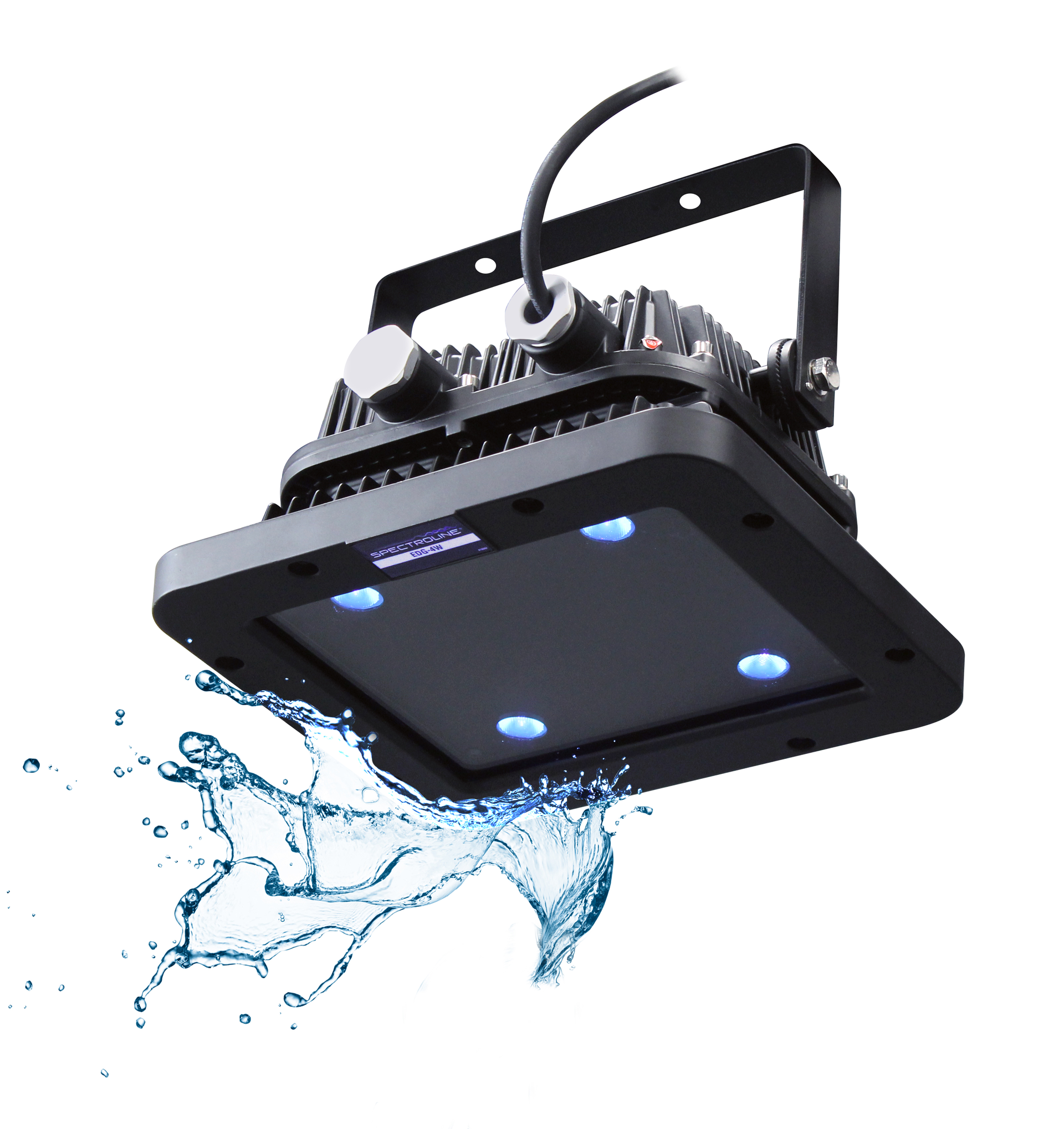 EDG 4W Lamp splash 2018 v2 5c3e1edfb2cc5