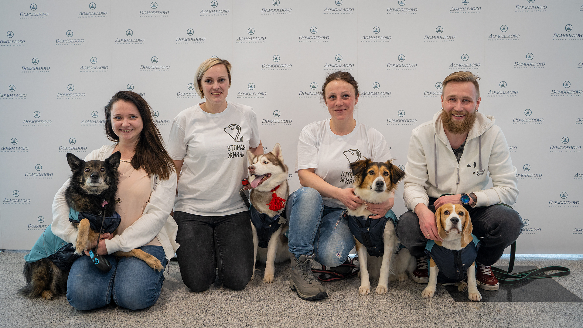 Moscow Domodedovo Airport created a dedicated area where passengers could pat or hug a dog.