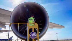 Bermuda 5ced659b89083 Bermuda 5ced659b89083