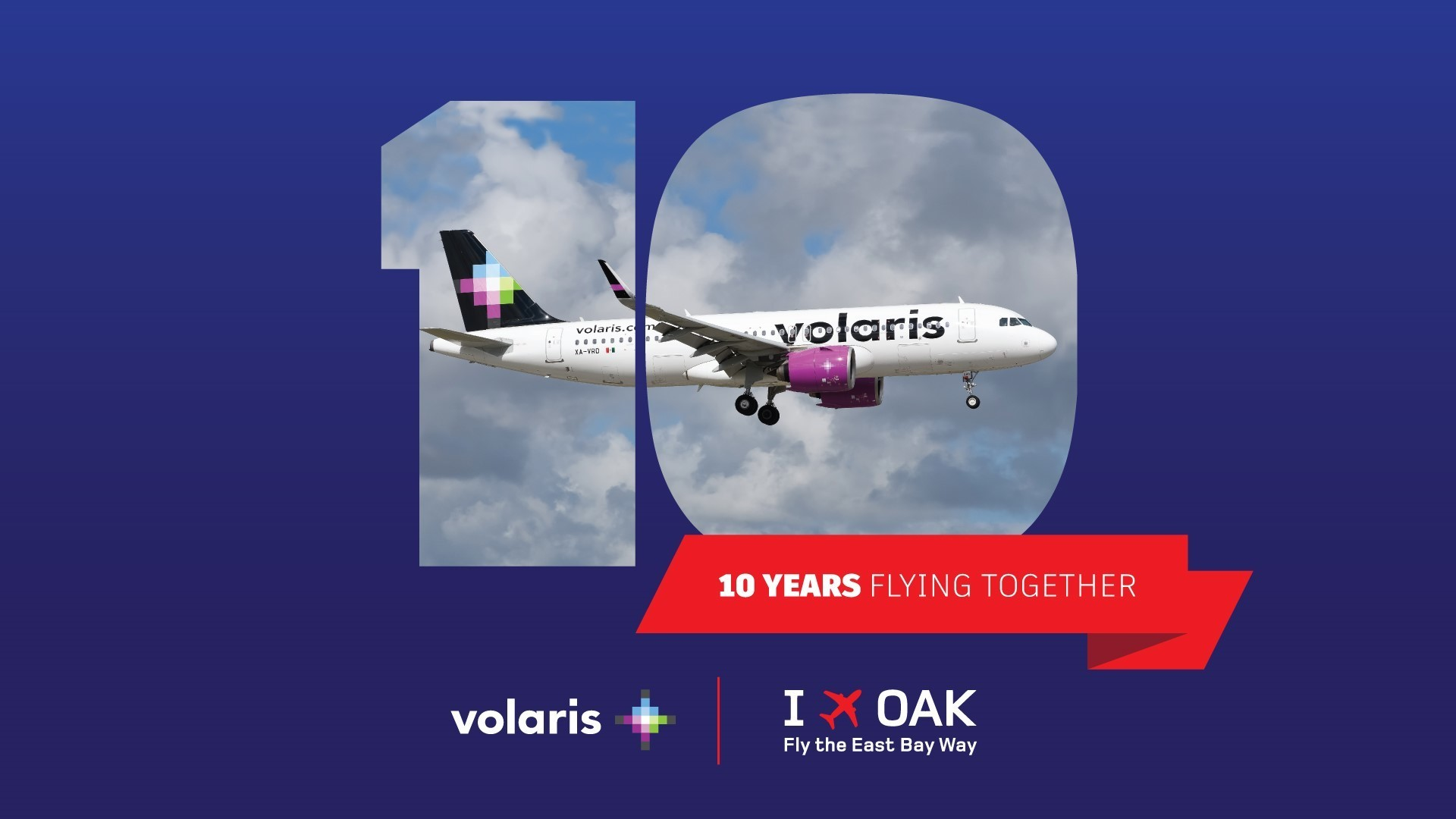 Volaris Oak
