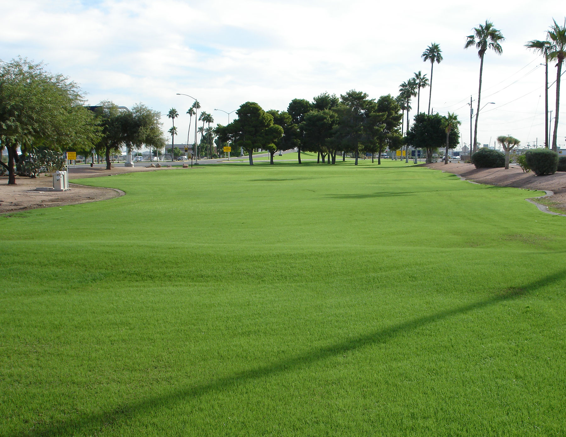 Turf Replacement Before 5d150df21042e