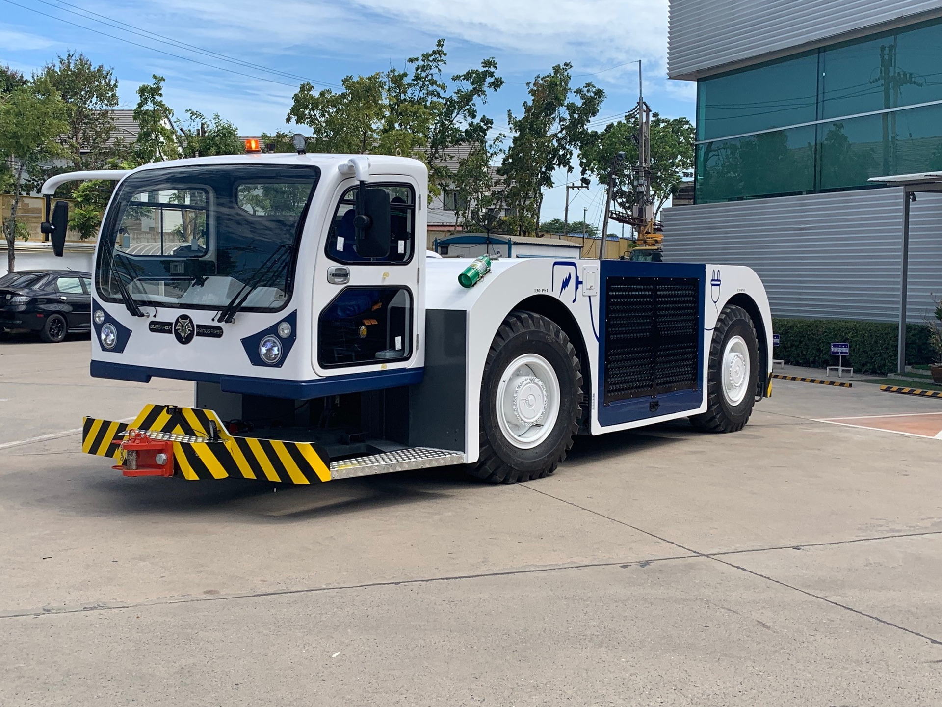 Panus Bliss Fox 1 5d5c0979e55fd