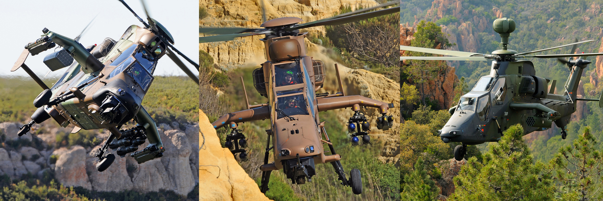 Tiger Helicopters Airbus Helicopters Anthony Pecchi 5de68493bb424