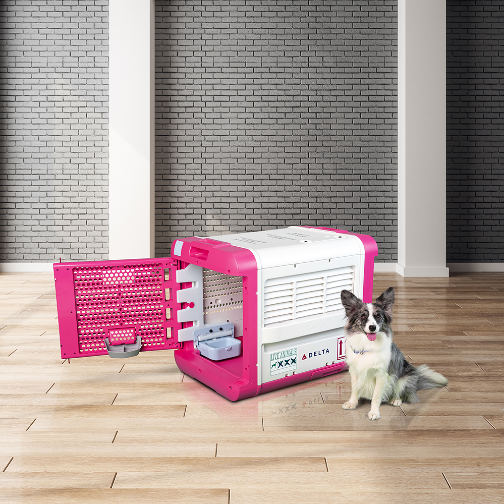 Carepod Brick Colorcorrect 4b Small 5e28662190f04