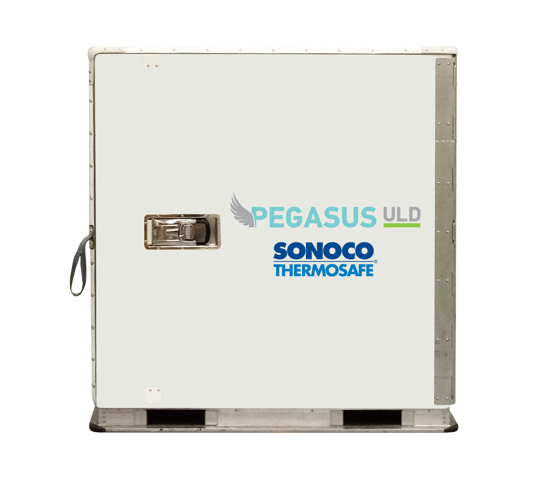 Pegausus Thermo Safe 5f6a665faff52