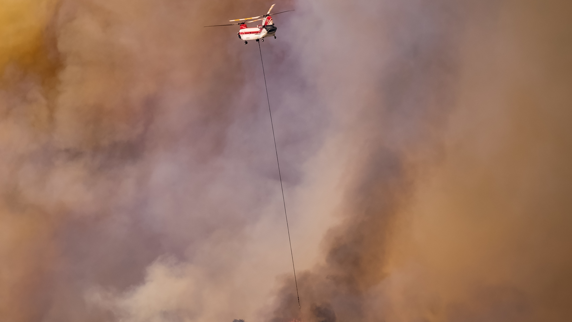 Credit Nazim &ouml;zdemir 18