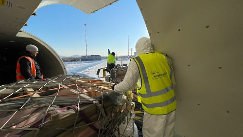 S Atran Airlines Transports Over 80 Pigs To Vladivostok Together With Intradco Global