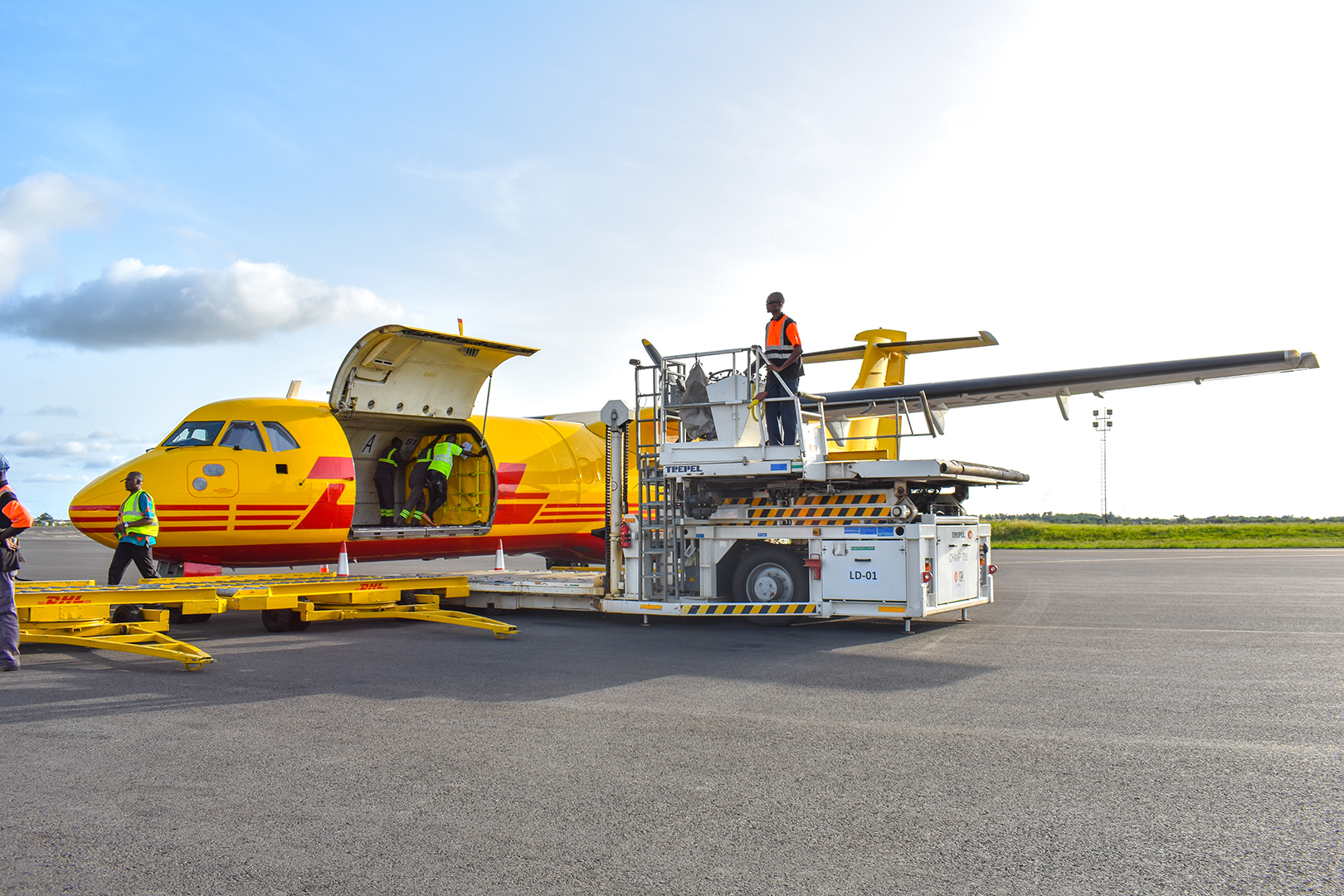 Monrovia Isago 62503653b38ad