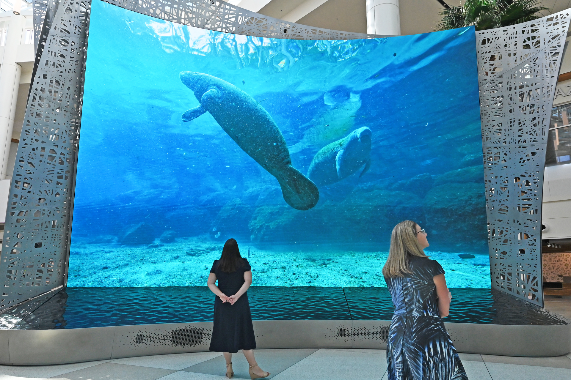 Press Kit Moment Vault