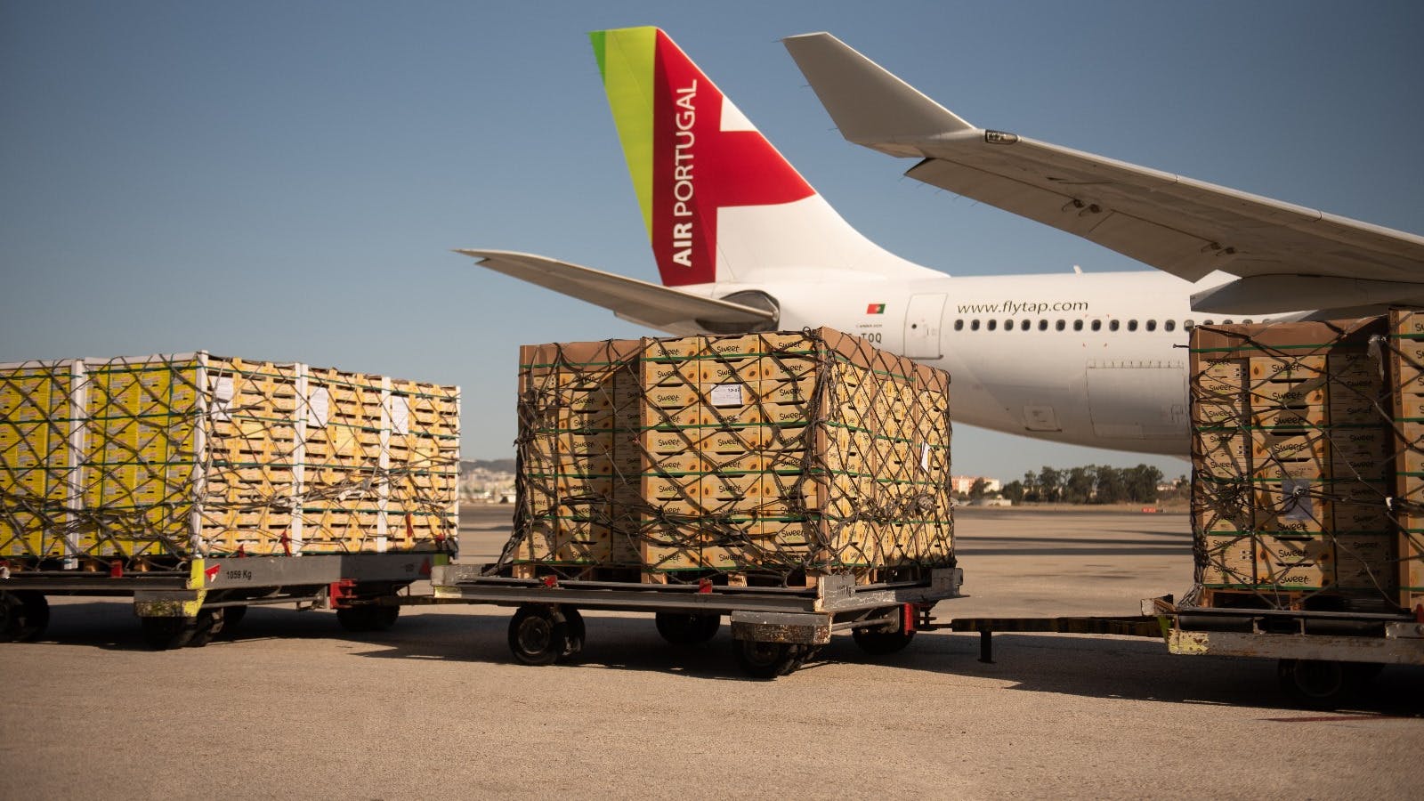 wiremind_cargo_and_tap_air_cargo_connect_cargospot