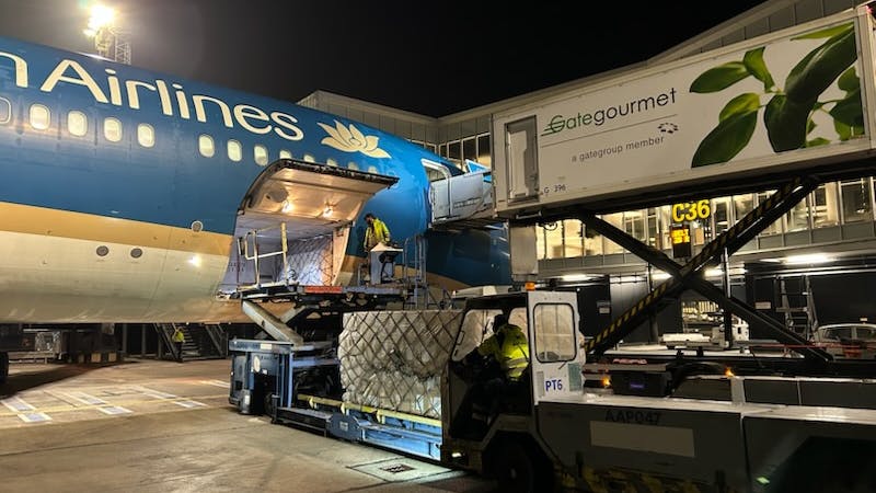 6957dba2c35ebda41d70d62d Aviatorvietnamairlinescphgoundhandling2