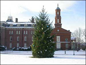The tree is located in the Memorial Park. Firefighter decorate the tree with tributes made by family, friends, and co-workers in honor of their fallen firefighters. Survivors from across the nation send in ornaments, cards, poems, and photos that adorn the tree.