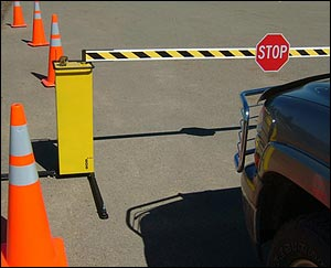 1116017177956 10696146