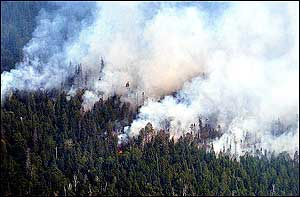 A wildfire burns near Seagull Lake in the Boundary Waters Canoe Area Wilderness on Sunday, Aug. 7, 2005, near Ely, Minn. The fire grew to about 650 acres on Sunday as firefighters, buffered by reinforcements, worked to knock down the blaze. Fire officials hoped to curb the blaze before Monday, when strong southwest winds were expected to return, along with even hotter and drier conditions, said Patty Johnson, a fire expert for the Gunflint Ranger District of the Superior National Forest.