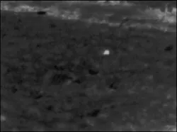 At night, police officers may ask for a thermal imager to help locate evidence that is too difficult to find with just a flashlight. If you are asked to help locate evidence, verify the protocols and ensure that the suspect is no longer on the scene. At night, police officers may ask for a thermal imager to help locate evidence that is too difficult to find with just a flashlight. If you are asked to help locate evidence, verify the protocols and ensure that the suspect is no longer on the scene.