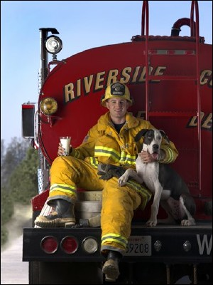 This photo provided by the California Milk Advisory Board shows California firefighter and cookie recipe-contest winner Clinton Marsalek posing with the fire station dog Koda, at the California Department of Forestry station in Riverside County where he works. The photo is in the 2006 Milk and Cookies calendar; proceeds from the calendar's sale benefit the California Fire Foundation and California Firefighters Memorial.