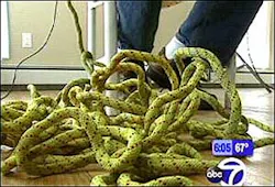 They've called for a lifeline, but this is no game, it is about life, and the sanctity of it...as the FDNY issues ropes to it's Bravest, so they can remain that way. They've called for a lifeline, but this is no game, it is about life, and the sanctity of it...as the FDNY issues ropes to it's Bravest, so they can remain that way.