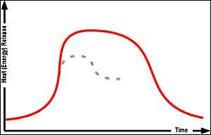 Figure 9: Fire development curve