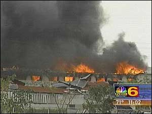 1144854565325 10698824