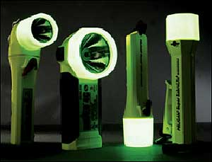 1150381303970 10698607