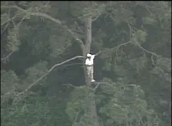 1175698578923 10699469 1175698578923 10699469