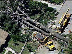 1178657206554 10699295 1178657206554 10699295