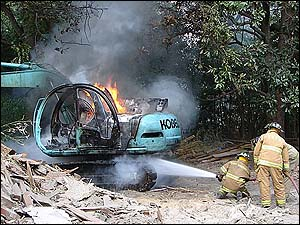 1193159399377 10699911