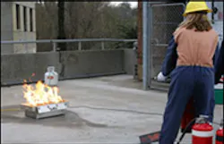 1193175699751 10699920 1193175699751 10699920