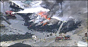 1200602874191 10701278