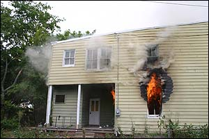 1215552415231 10701443