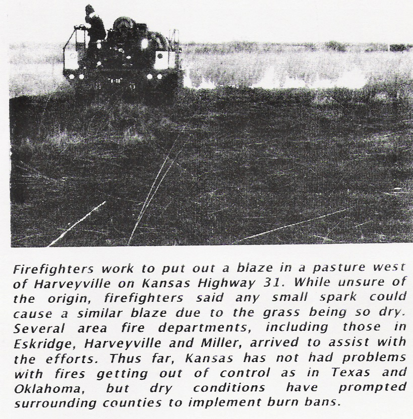 1138813564378 10649150